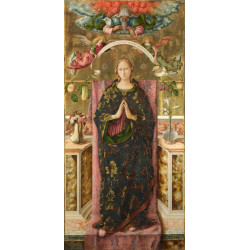 The immaculate conception