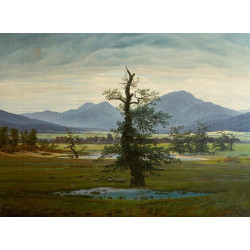 Dorflandschaft bei morgenbeleuchtung