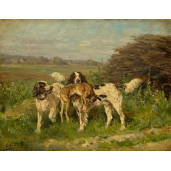 End of the hunt End of the hunt