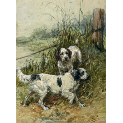 Hunting dogs on the watch Hunting dogs on the watch