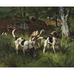 The lost scent The lost scent