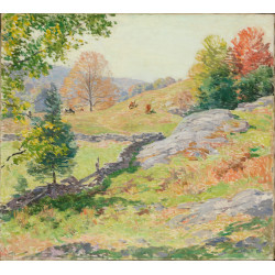 Hillside pastures september