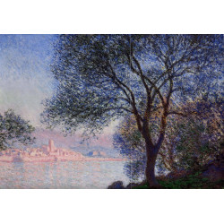 Antibes seen from the salis gardens 02 1888