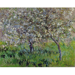 Apple trees in bloom at giverny 1900 01