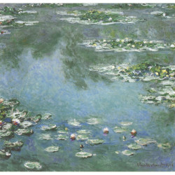 Nympheas 1906 chicago Nympheas 1906 chicago