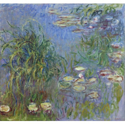 Water lily pond 1914 17