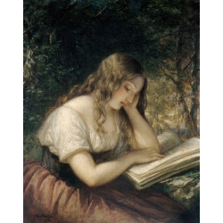 Study in a wood Study in a wood