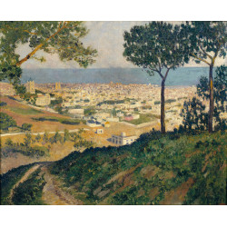 Barcelona seen from vallvidrera