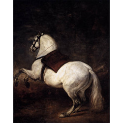 A white horse