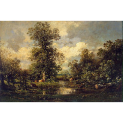 Forest landscape