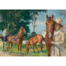 New castle poppy New castle poppy