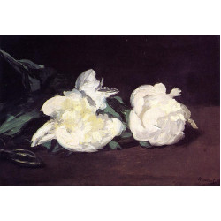Branch of white peonies and secateurs 1864