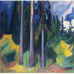 Forest 1903