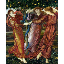 Gardenhesperides burnejones 1 1