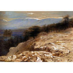 The cedars of lebanon