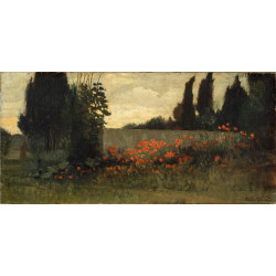 Cypress and poppies