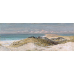 Lair of the sea serpent