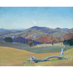 Landscape near yass