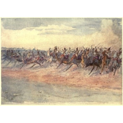The camel corps