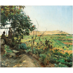 Landscape of the suburbs of tunis