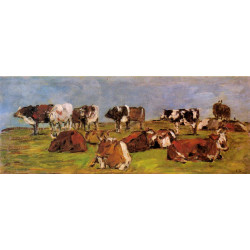 Cows in a field