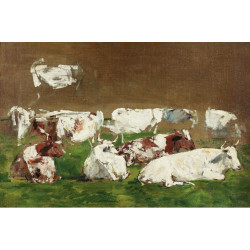 Cows study