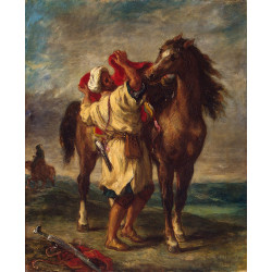 Arab saddling his horse