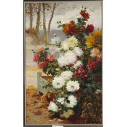 Chrysanthemums in a walled garden