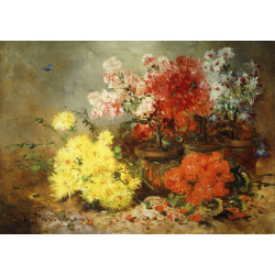 Daisies begonia and other flowers in pots