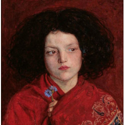 The irish girl 1860 The irish girl 1860