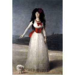 Duchess of alba the white duchess 1795