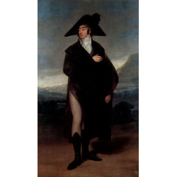 Portrait of count fernand nunez vii