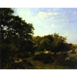 Forest of fontainebleau