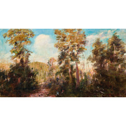 Campsite near narbethong