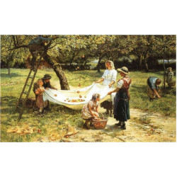 An apple gathering An apple gathering