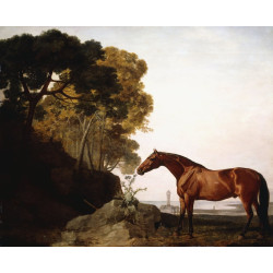 A bay arab in a coastal landscape 1779