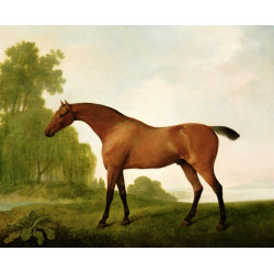 A bay thoroughbred in a landscape