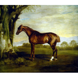 A chestnut racehorse
