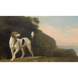 A foxhound c1760 oil on paper laid on board