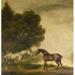 A grey and a bay in a landscape