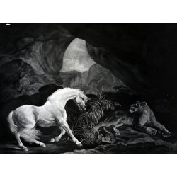 A horse startled by a lioness engraved by benjamin green 1774