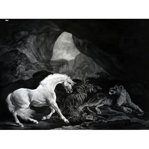 A horse startled by a lioness engraved by benjamin green 1774