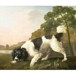 A spaniel in a landscape 1771