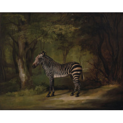 A zebra 1763 2