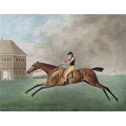 Baronet 1794