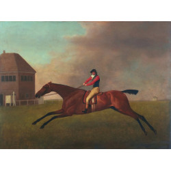 Baronet with sam chifney up 1791