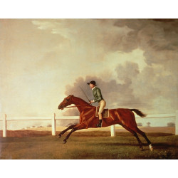 Bay malton with john singleton up c1767