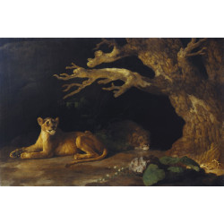 Lioness and cave