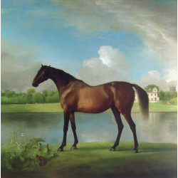 Lord bolingbrokes brood mare in the grounds of lydiard park wiltshire c1764 66...