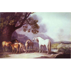 Mares and foals in a mountainous landscape